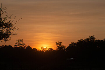 The early morning sun is shining beautifully.