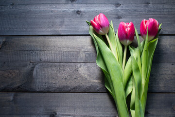 pink tulips on wooden background