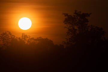 The early morning sun is shining beautifully.