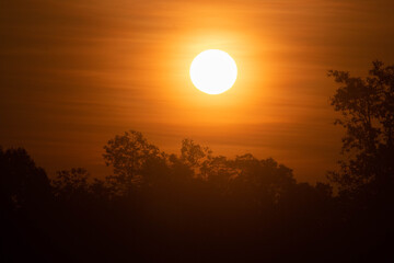 The early morning sun is shining beautifully.