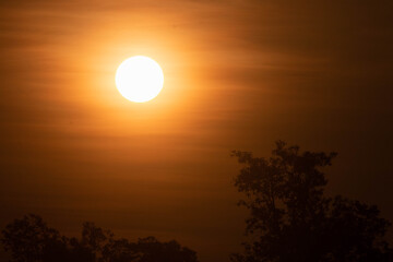 The early morning sun is shining beautifully.