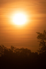 The early morning sun is shining beautifully.