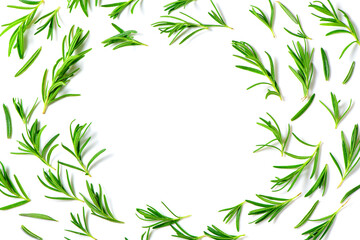 fresh rosemary isolated on white background and copy space on center.