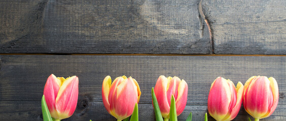 flowers on a wooden background