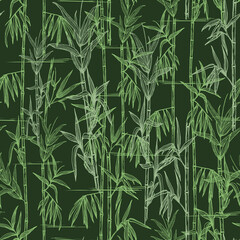 Seamless pattern of bamboo stems and leaves. Hand-drawn in pen and ink plant contours. Bamboo forest on dark green background. 
Design for textile, package, wallpaper, decorative print.