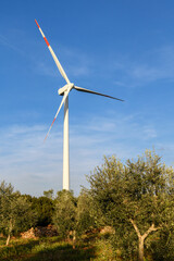 Wind turbine standing on a olive grove, close up, Puglia, Italy
