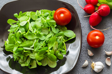 Purslane salad is a type of salad. Purslane salad is a healthy food source. It is a type of salad used in diets.