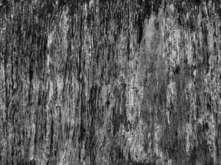 Black and white abstract background