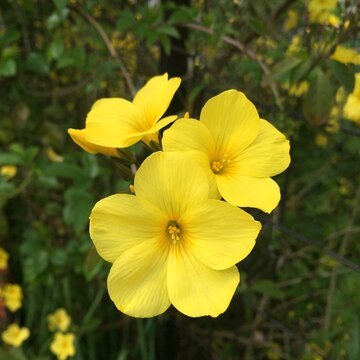 月光 Images Browse 6 145 Stock Photos Vectors And Video Adobe Stock