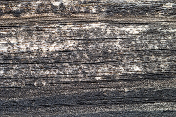 Dark plank, wood texture, wooden background, damaged, cracked.