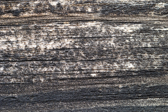 Dark plank, wood texture, wooden background, damaged, cracked.