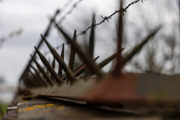 Urban brick wall with rusty barbed wire and rusty nails