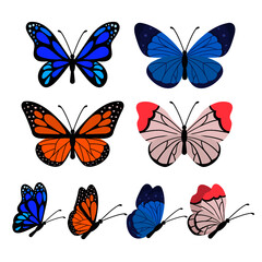 Fototapeta na wymiar Vector set colorful butterflies - front and profile