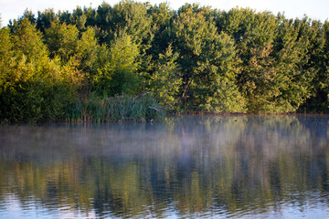 Misty morning at a pond in the nature Parc Meijendel. Picture was taken in the nature reserve Meijendel, in The Netherlands near The Hague.