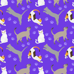 Seamless pattern with cat breeds. Purple bg