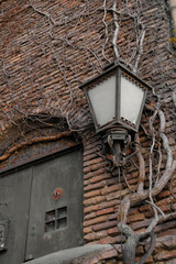 An old wrought iron lantern hangs on the wall. The roots of an old tree are twisted all over the brick wall