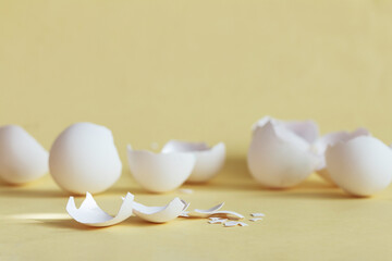 broken egg shell on yellow background with space for text, begging of life concept
