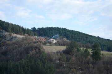 white smoke from burning branches