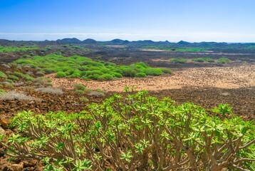 Fototapeta na wymiar unberührte Vulkanlandschaft auf der Insel Los Lobos - Fuerteventura