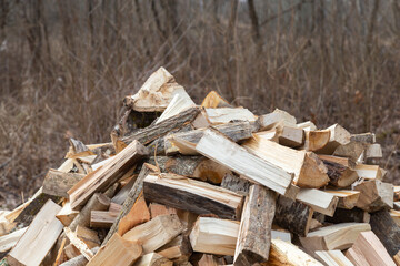 Preparing for the firewood heating season. Chopped firewood of different trees
