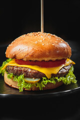 hamburger on a plate