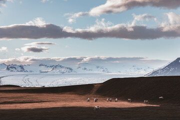 Islandia