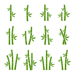 Green bamboo set vector images