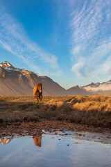 Islandia © jacek swiercz