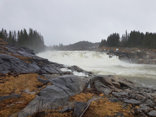 The mighty Laksforsen salmon waterfall in Grane Municipality, northern Norway