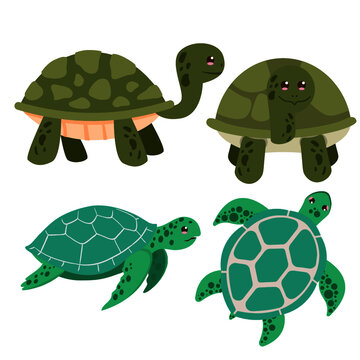 Vector set turtle and sea turtle
