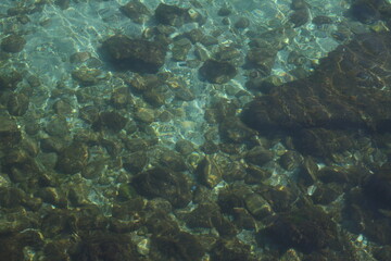 rocks at the bottom in green water, seabed