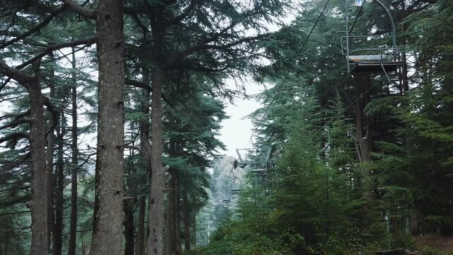 Drone shot Inside the forest, showing cedrus trees and old teleferik cabin , in chrea national park - algeria