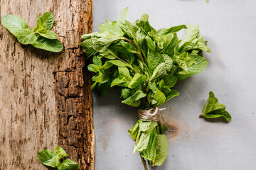 A bunch of raw fresh green mint on wooden background