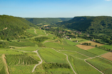 Fototapeta na wymiar Vineyards in the north of France