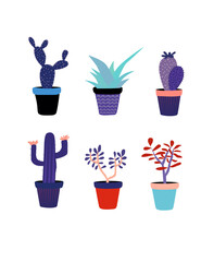 Cactus and succulent set. cartoon plants in pots. vector Illustration
