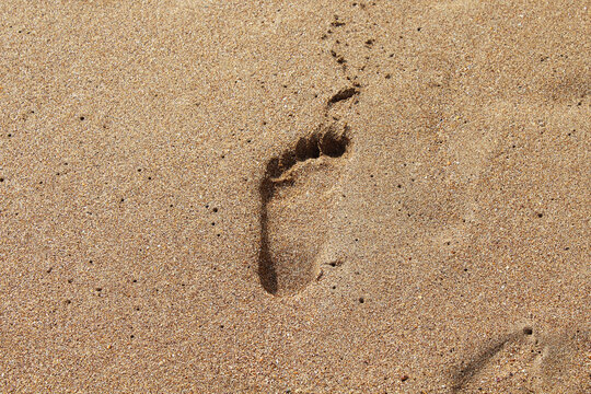 Children's footprint on the beach sand. Close-up. Top view. Background. Texture.