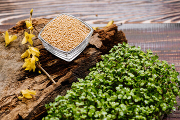 Dry seeds of mustard and raw green mustard on wooden background