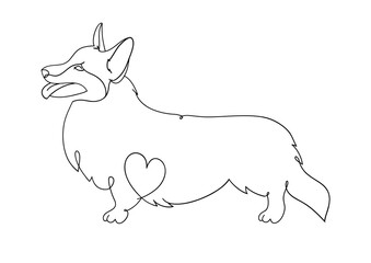 Welsh Corgi-cardigan. Illustrations drawn by hand. Original linear image of a dog with a heart. Illustration isolated on white background, logo, t-shirt design.