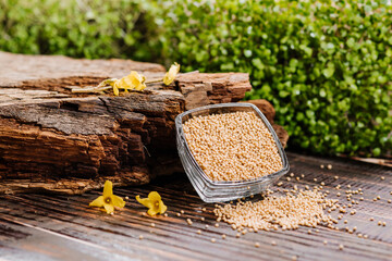 Dry seeds of mustard and raw green mustard on wooden background