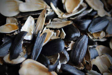 Husk of sunflower seeds. Close-up. Selective focus. Background. Texture.