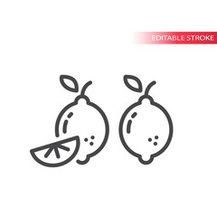 Lemon slice line vector icon. Outline, editable stroke fruit.