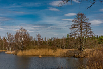 South Bohemia ponds in spring sunny fresh color day