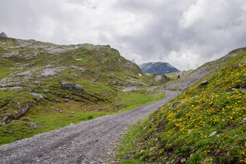 Fototapeta na wymiar Beautiful swiss alpine landscape in summer.