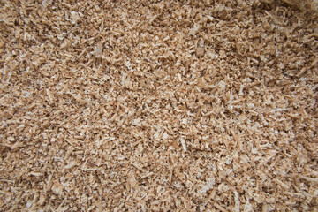 fine oak chips, planer waste