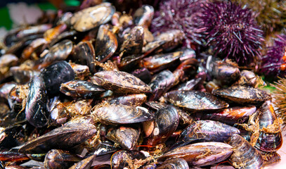 Assorted fresh raw seafood. Fresh mussels and sea urchins lie on ice at the fish market