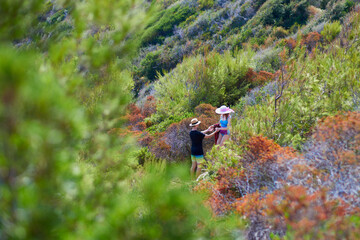 A boy helps a girl get off a rocky path while walking along the shores of the Mediterranean Sea amidst lush vegetation
