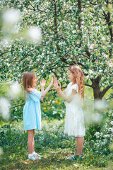 Adorable little girls in blooming apple tree garden on spring day