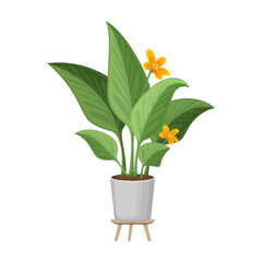 Flowerpot vector cartoon icon. Vector illustration flowerpot on white background. Isolated cartoon illustration icon of flower pot.
