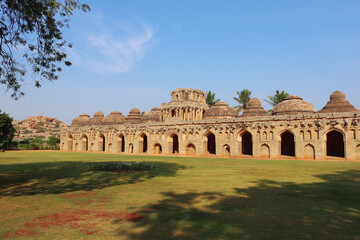 Obraz premium elephant farms