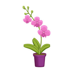 Naklejka na ściany i meble Flowerpot vector cartoon icon. Vector illustration flowerpot on white background. Isolated cartoon illustration icon of flower pot.